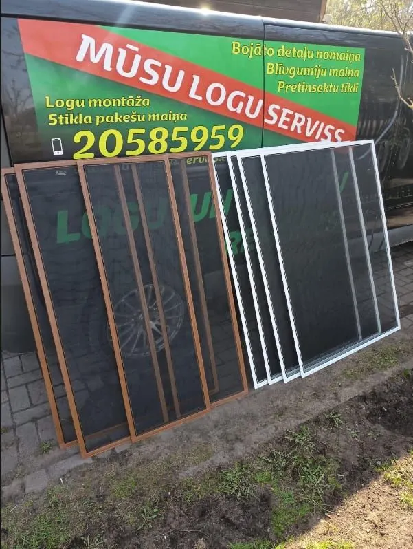 Insektu sieti